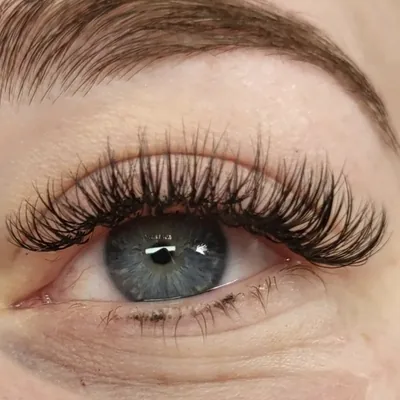 Blauwgrijs oog met hybrid wimpers