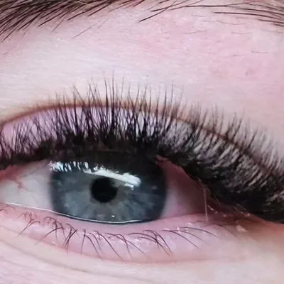 Blauw oog met mega volume wimpers
