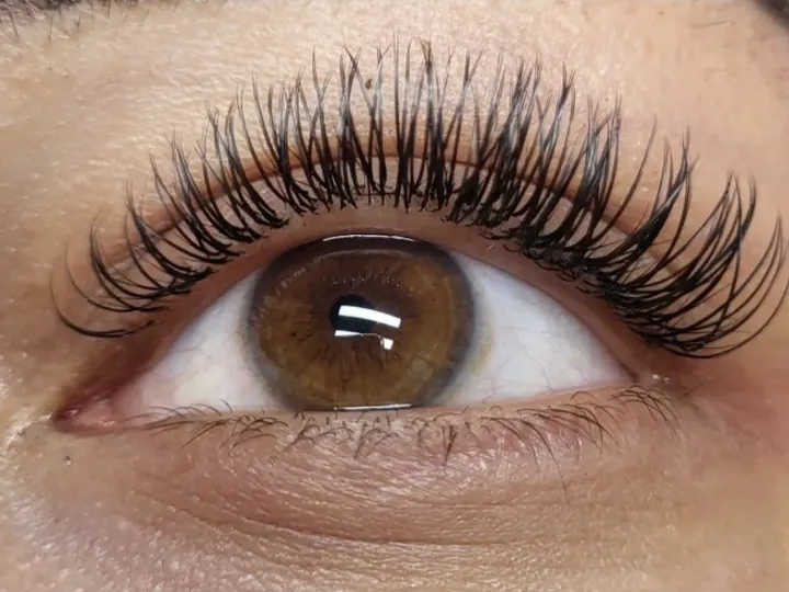 Bruin oog met classic wimpers, van dichtbij